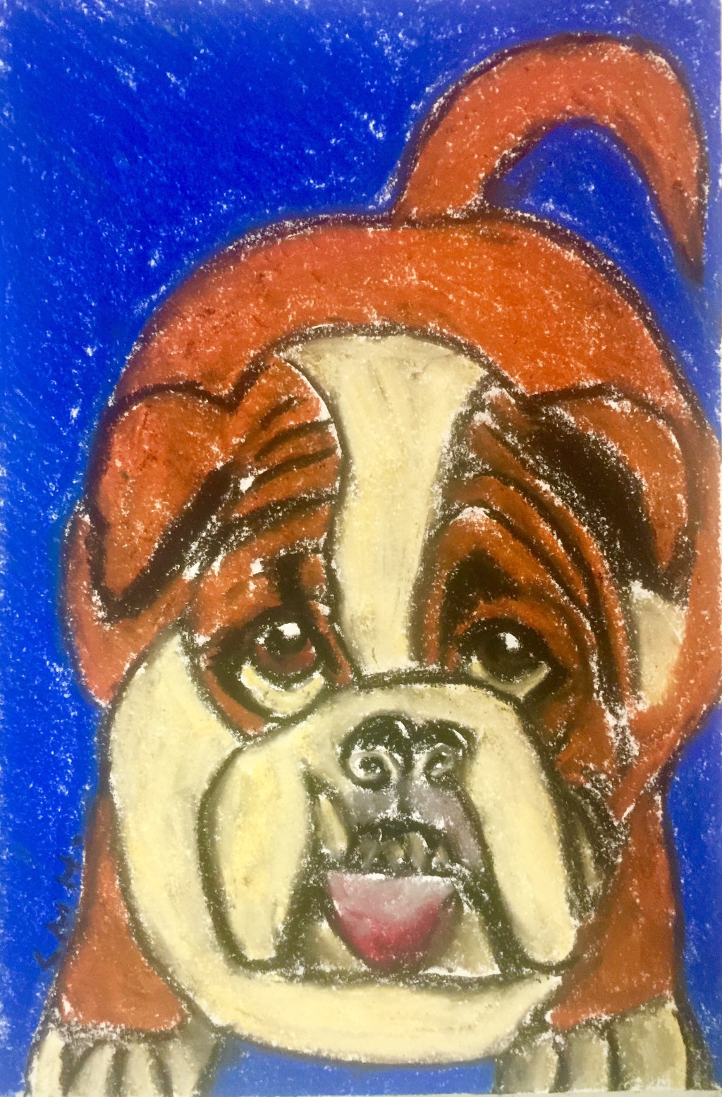 Story example: Sorrow the Bulldog –&nbsp;14/07/19