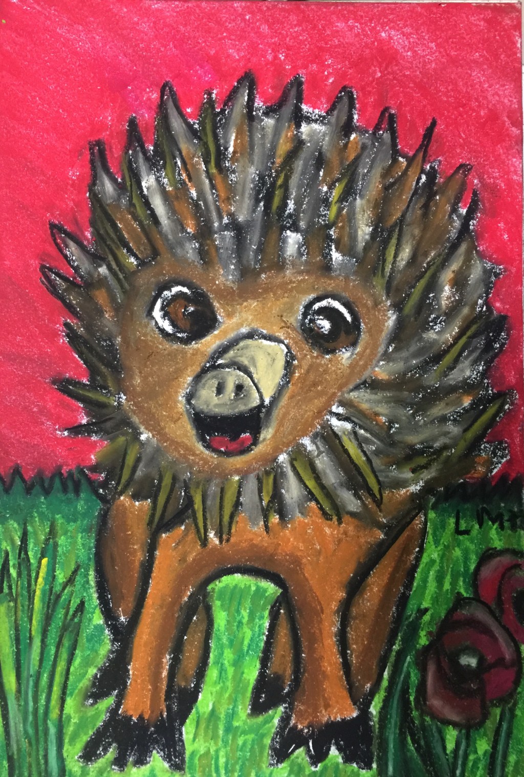 Story: Egbert the Excitable Echidna Soars in Leaps and Bounds –&nbsp;19/08/19