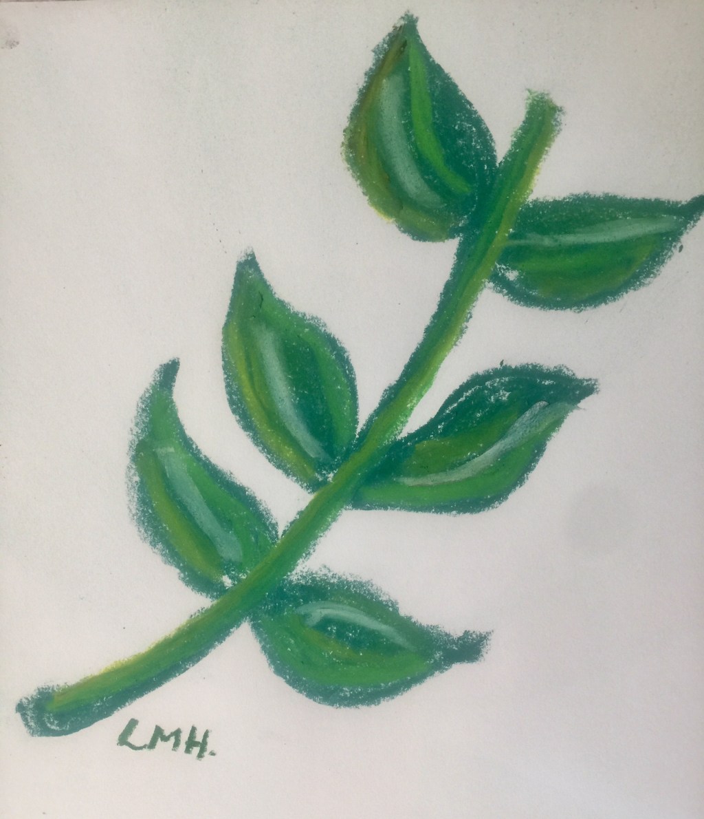 Prose Poetry: Hope –&nbsp;01/11/19