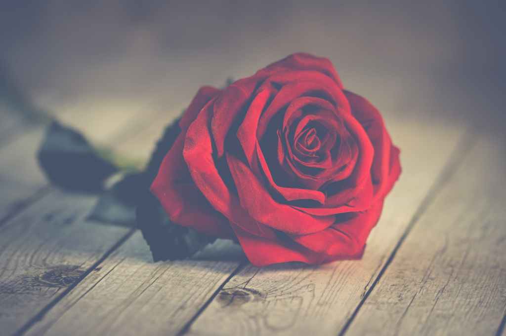 Poem: Found Beauty –&nbsp;15/02/20