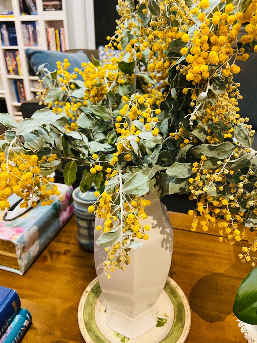 Poem: Bloated Wattle Buds –&nbsp;07/07/20