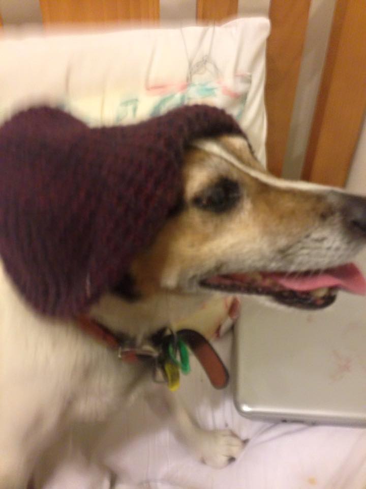 Poem: Jacob’s Wings –&nbsp;06/07/20