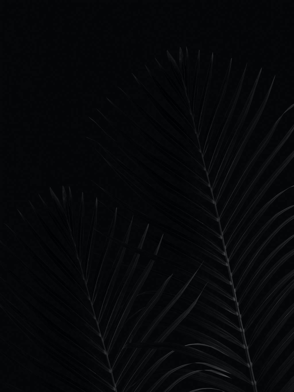 Poem: Obsidian –&nbsp;19/09/21