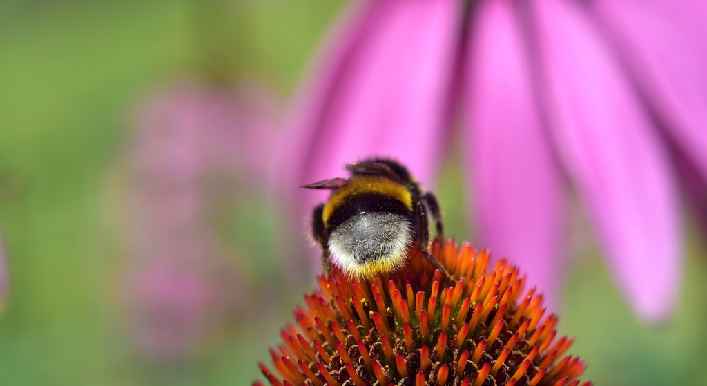 poem: which side to choose? –&nbsp;27/02/22