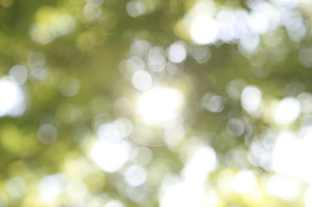 prosody: sunshine –&nbsp;22/02/22