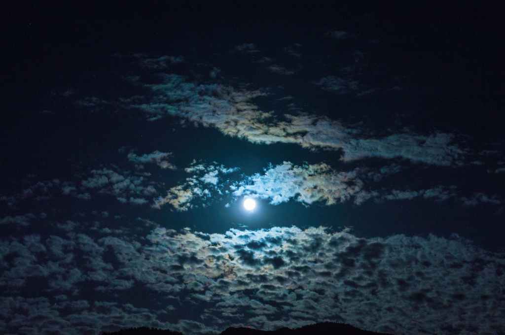 poem: moonlight –&nbsp;19/02/21