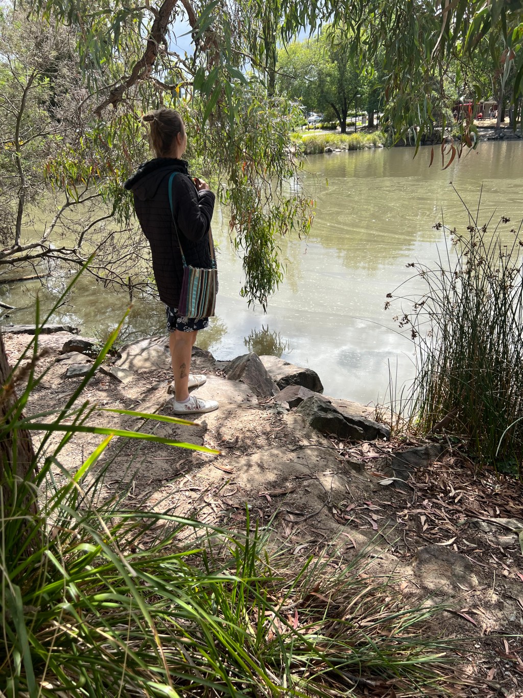 poem: the lake –&nbsp;11/03/22