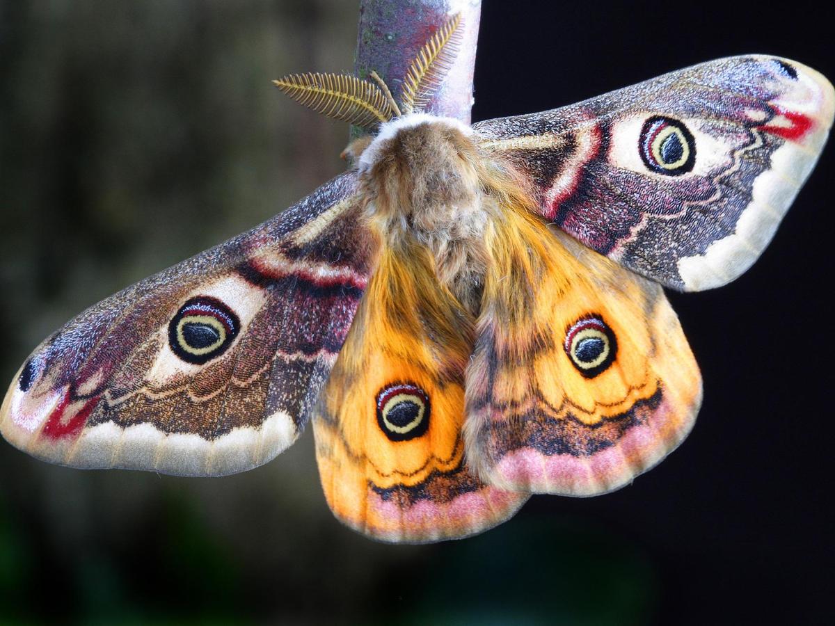 poem: decisions –&nbsp;29/04/22